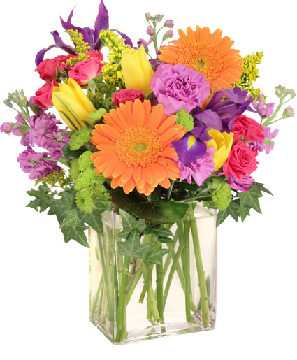 Celebrate Today – Bright Mixed Flower Celebration Arrangement Celebrate Today – Bright Mixed Flower Celebration Arrangement