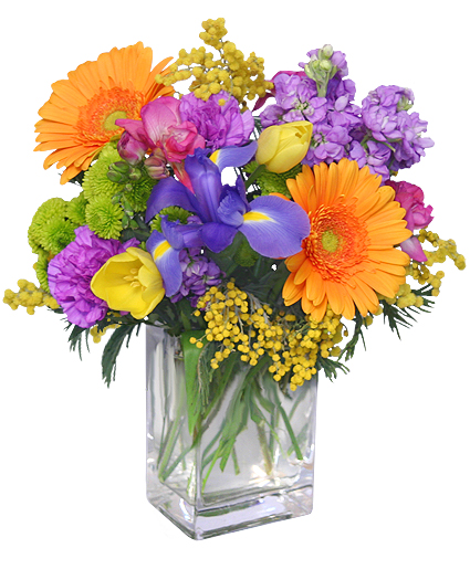 Celebrate The Day - Bright Mixed Flower Vase Arrangement Celebrate The Day - Bright Mixed Flower Vase Arrangement